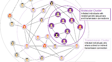 Advanced molecular and network data combination to understand the HIV-1 epidemic among youth in Nigeria