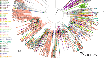 Phylodynamics and molecular epidemiology of SARS-CoV-2 in Nigeria