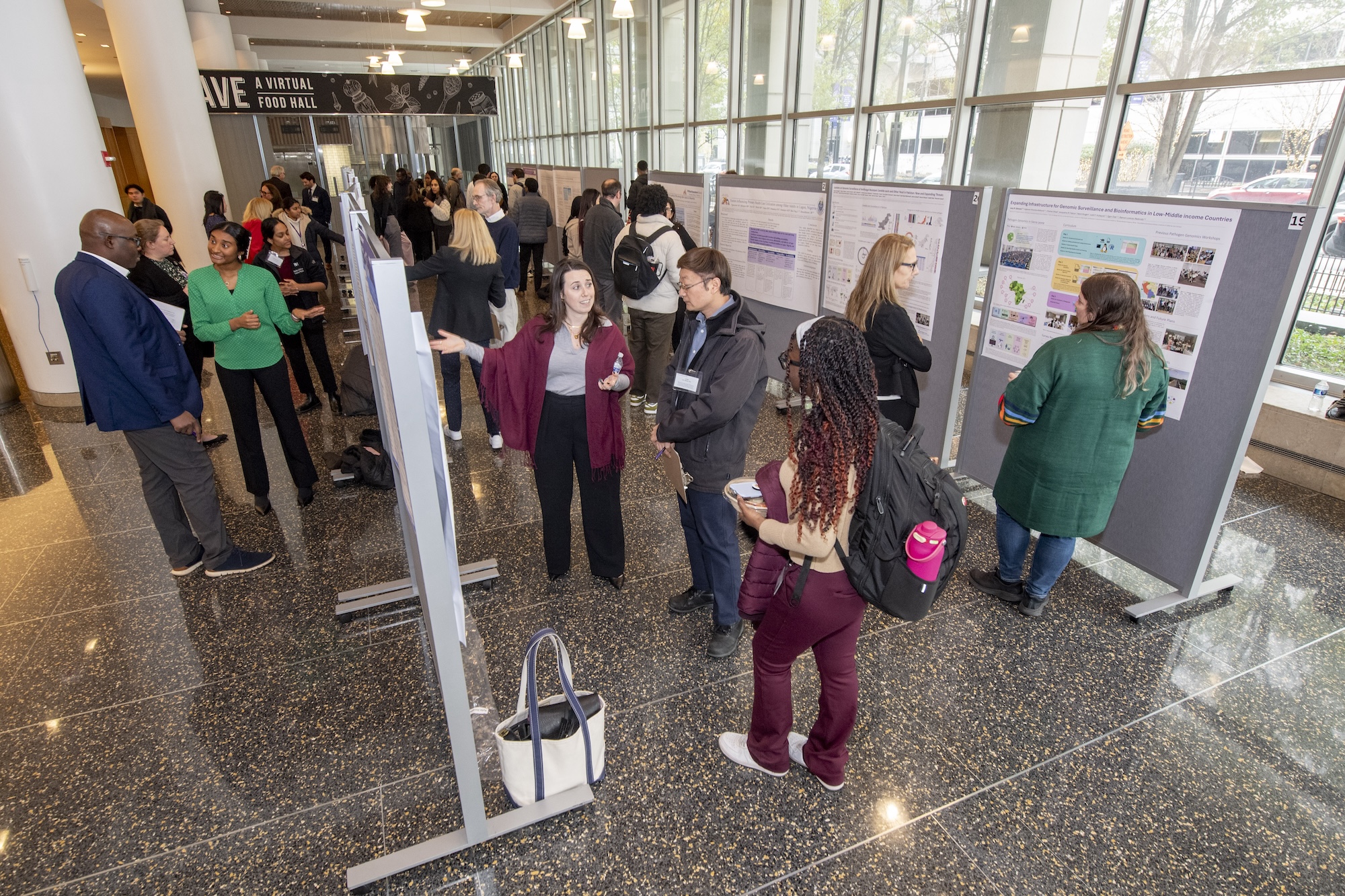 Global Health Day presenter discussing their poster with a judge