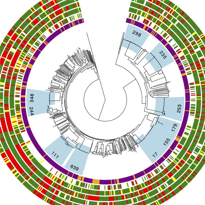Molecular Mechanisms of Antimicrobial Resistance in Pseudomonas aeruginosa
